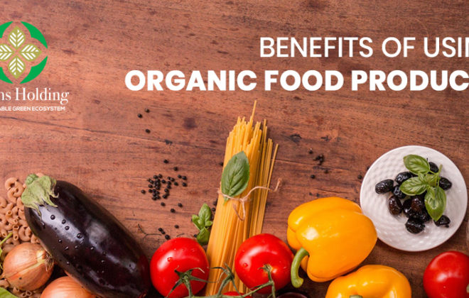 Benefits Of Using Organic Food Products
